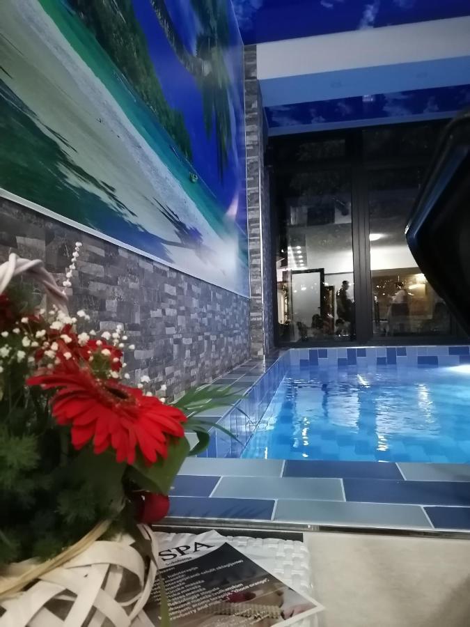 Vila Cair Doplata Za Bazen Soko Banja Exterior foto